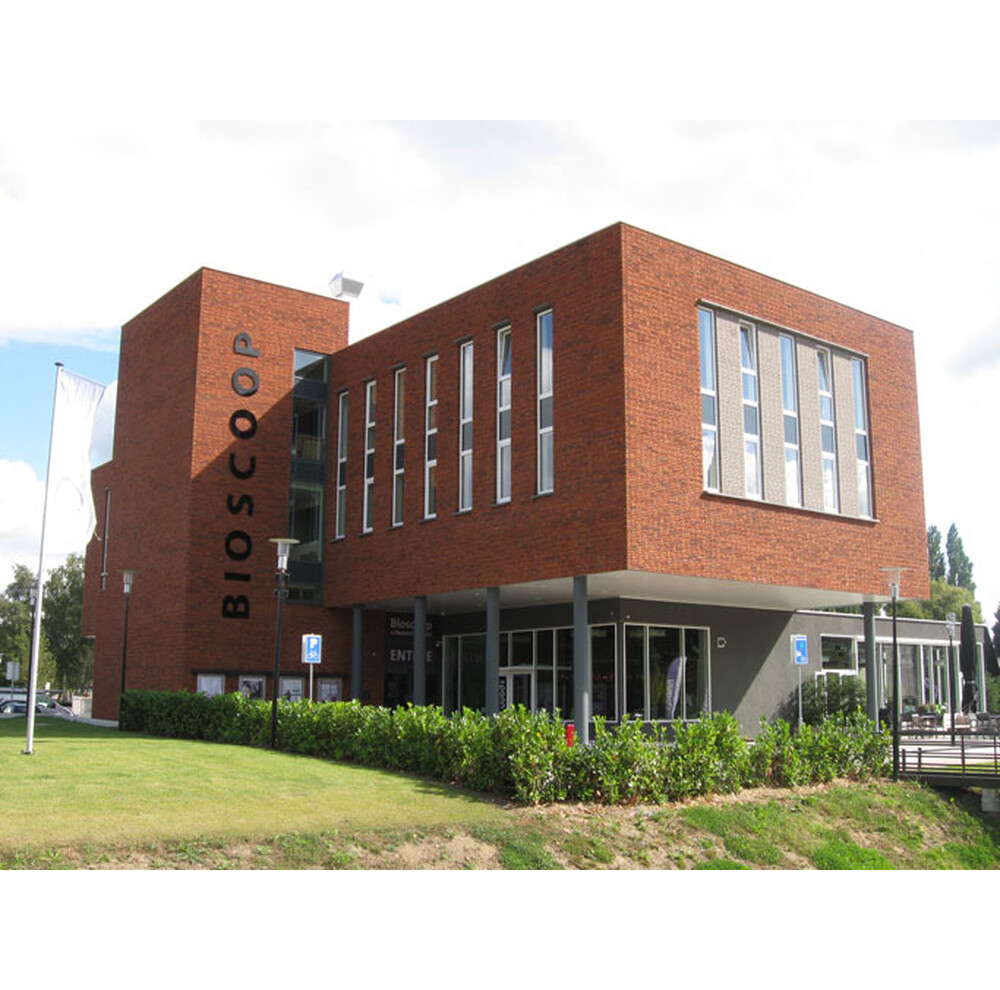 Цегла ручного формування 18 Viola light, фото 10