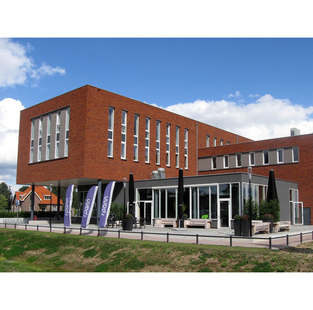 Цегла ручного формування 18 Viola light, фото 8