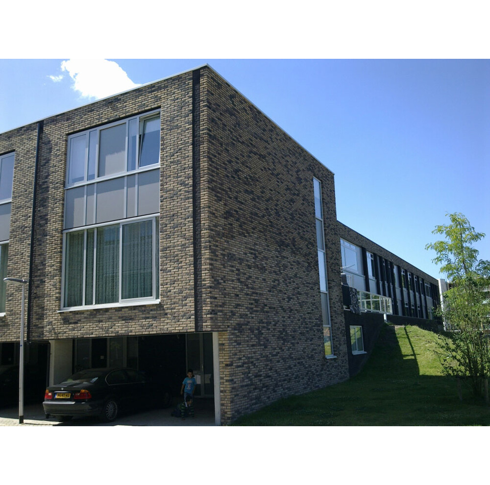 Цегла ручного формування 310 Castello Geel, фото 4