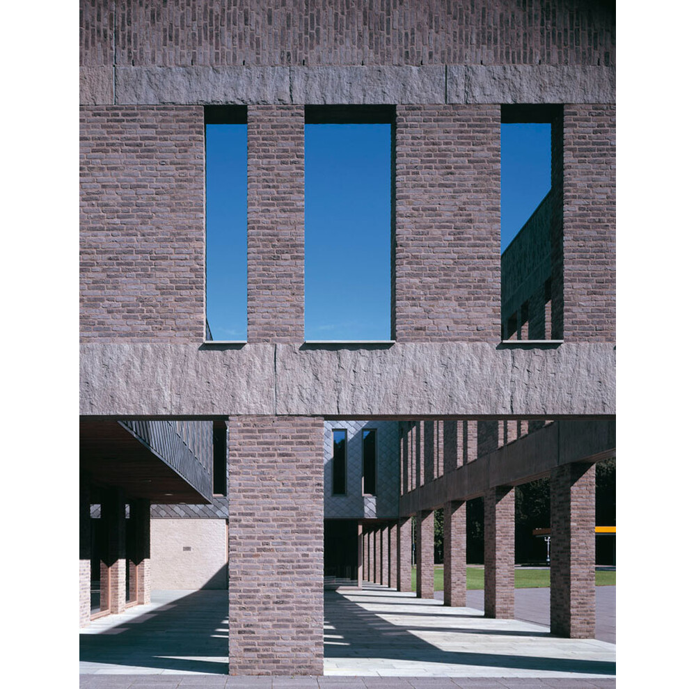 Цегла ручного формування 329 Akita, фото 15