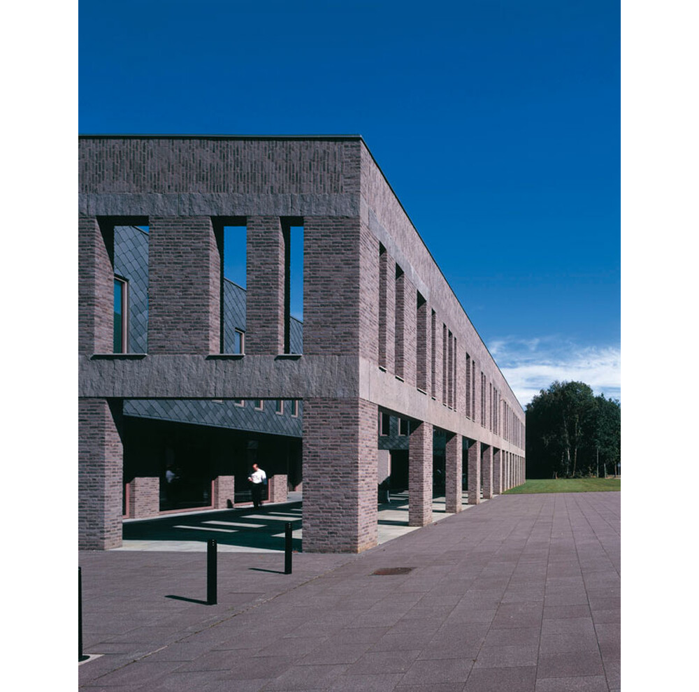 Цегла ручного формування 329 Akita, фото 9