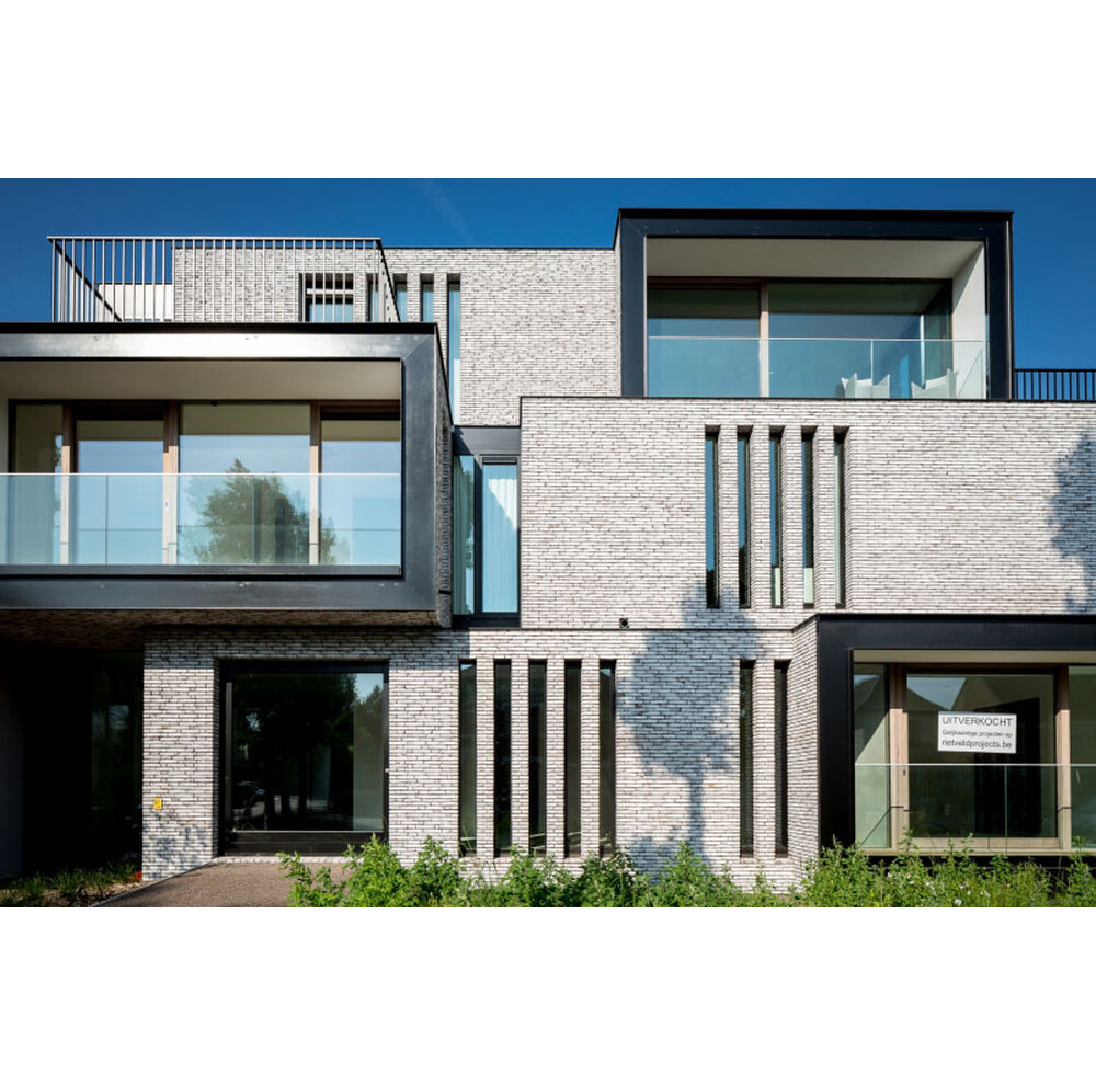 Цегла ручного формування 360 Rainbow Snowdust, фото 14