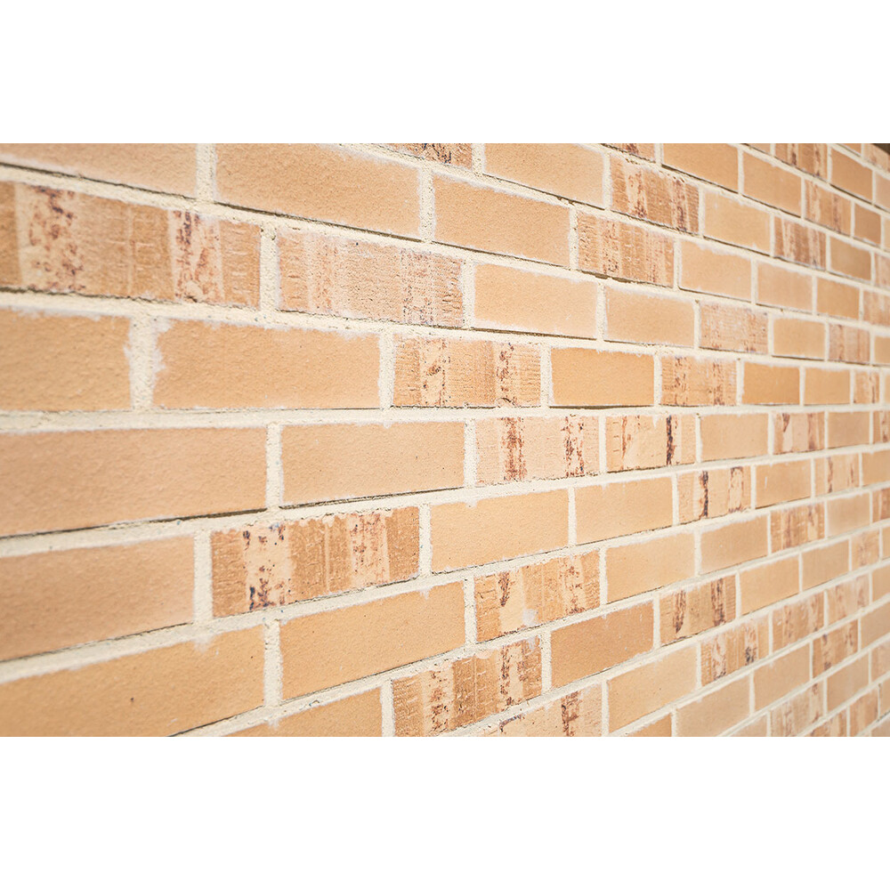 Клінкерна цегла Muhr Nr. 06 Hellbraun-bunt glatt, фото 2