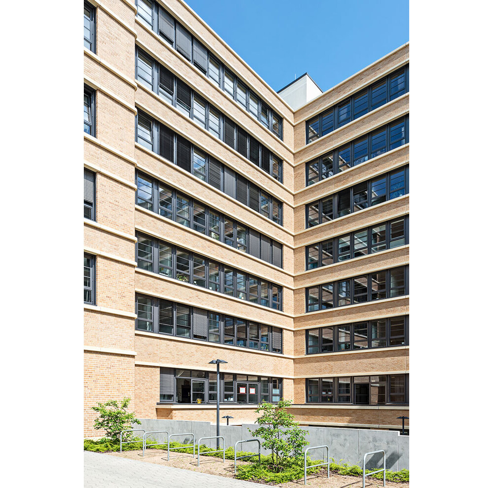 Клінкерна цегла Muhr Nr. 06 Hellbraun-bunt glatt, фото 4