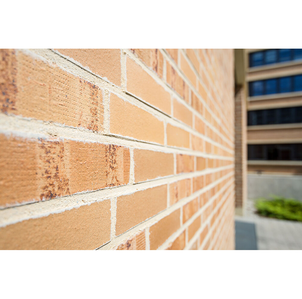 Клінкерна цегла Muhr Nr. 06 Hellbraun-bunt glatt, фото 6