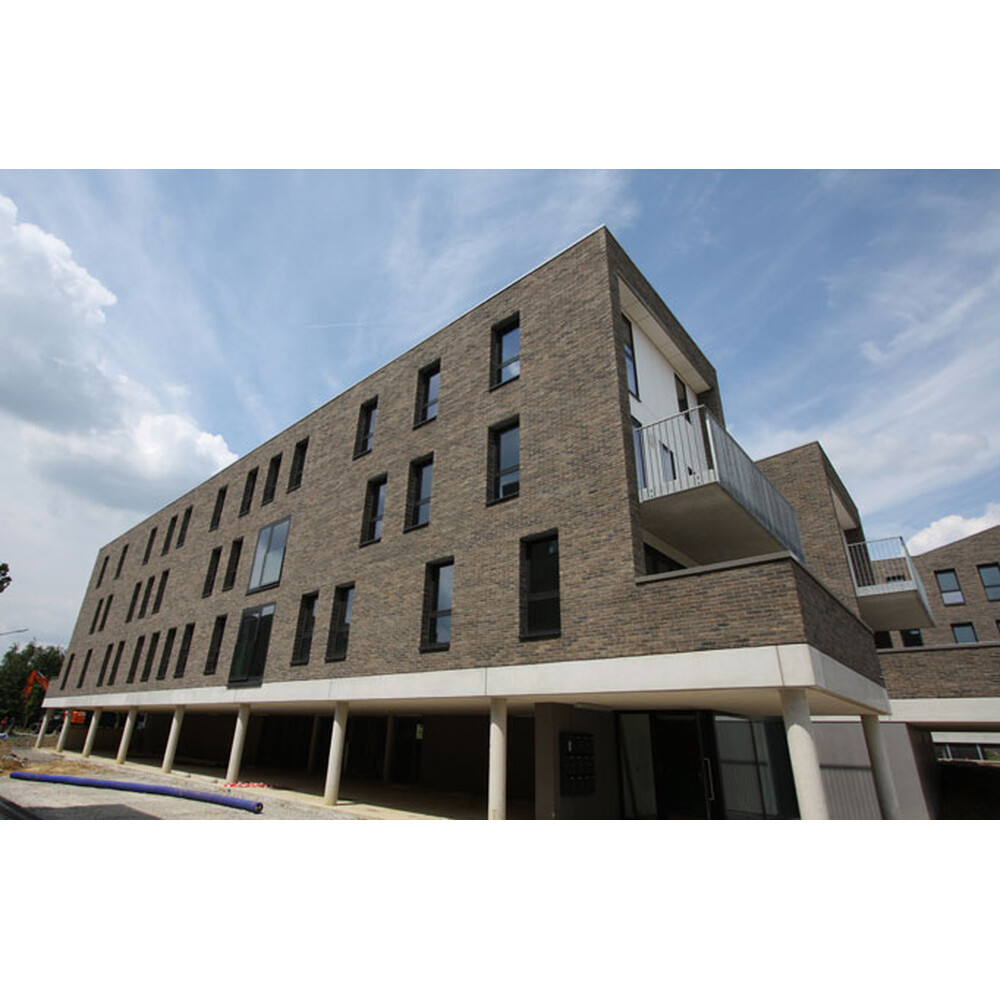 Плитка ручного формування 122 Brama, фото 3