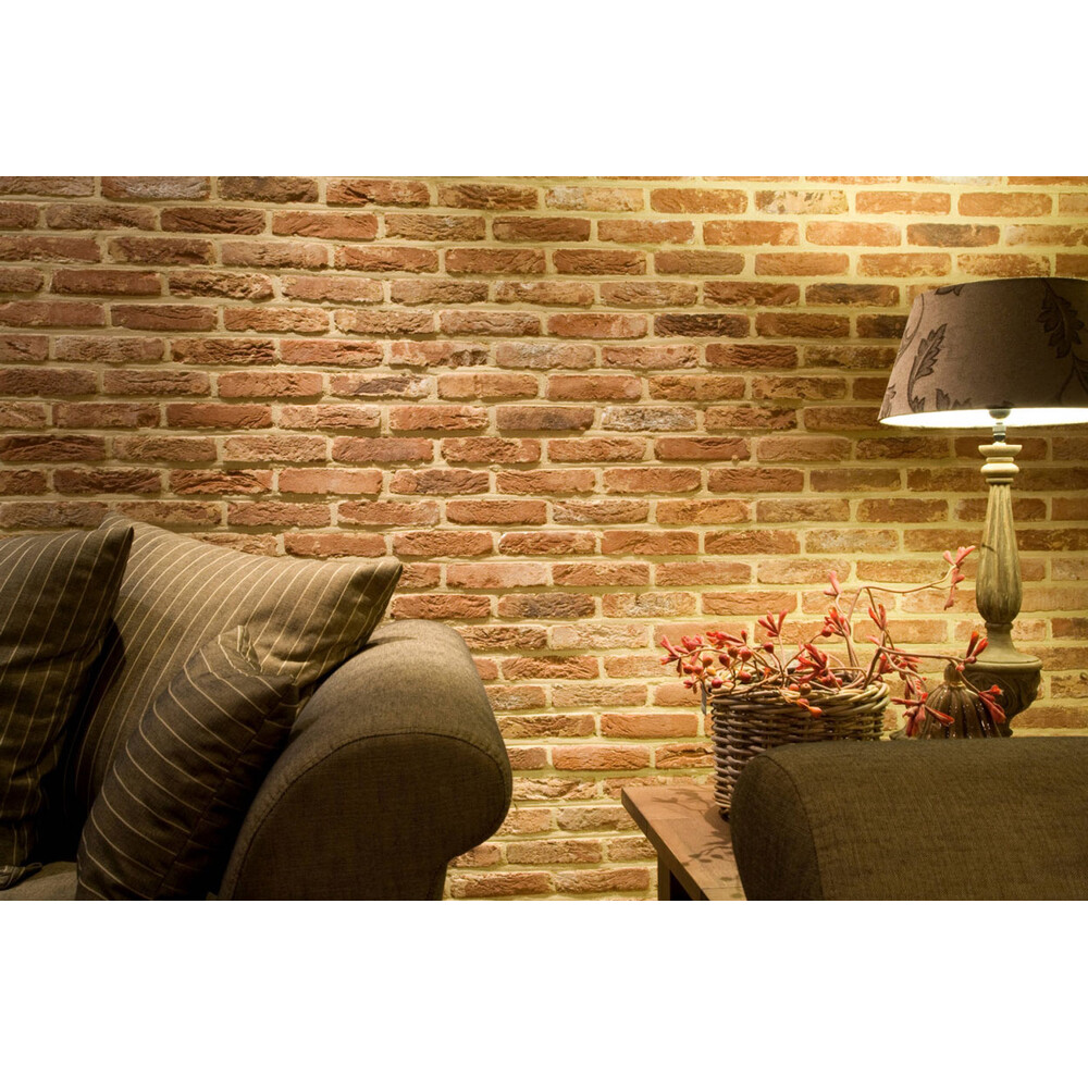 Плитка ручного формування 60 Oud Brabant, фото 2