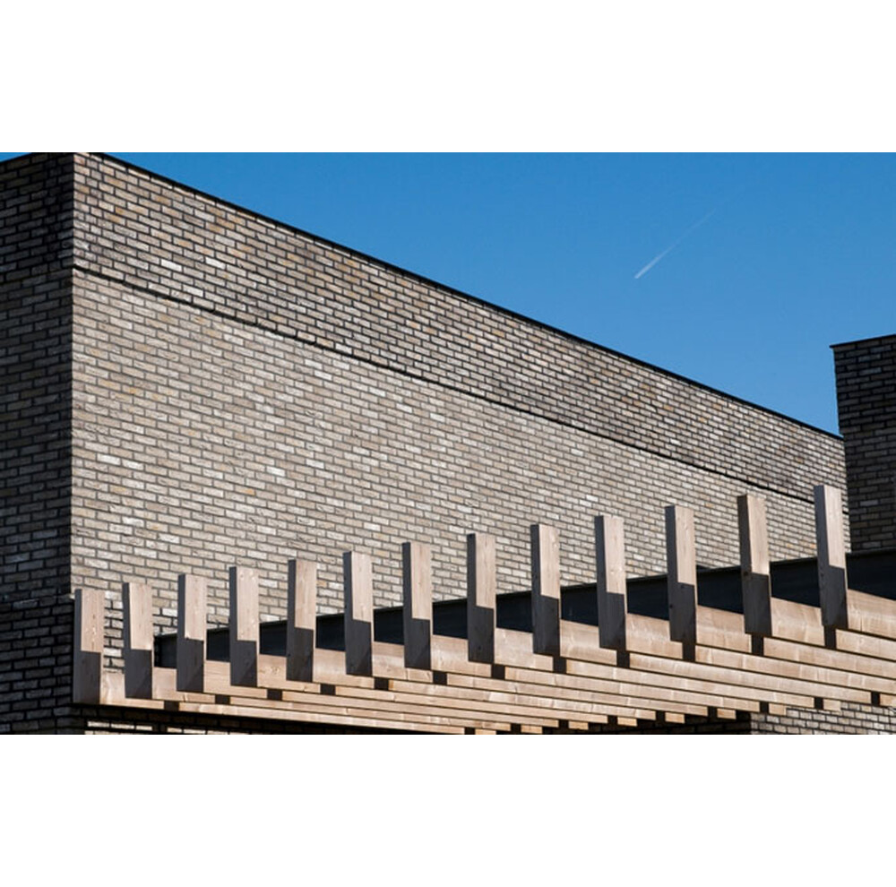 Цегла ручного формування 79 Anicius, фото 11