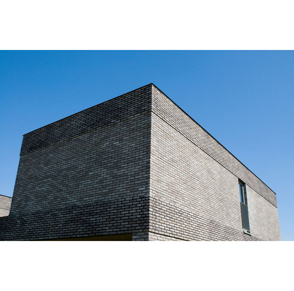 Цегла ручного формування 79 Anicius, фото 10