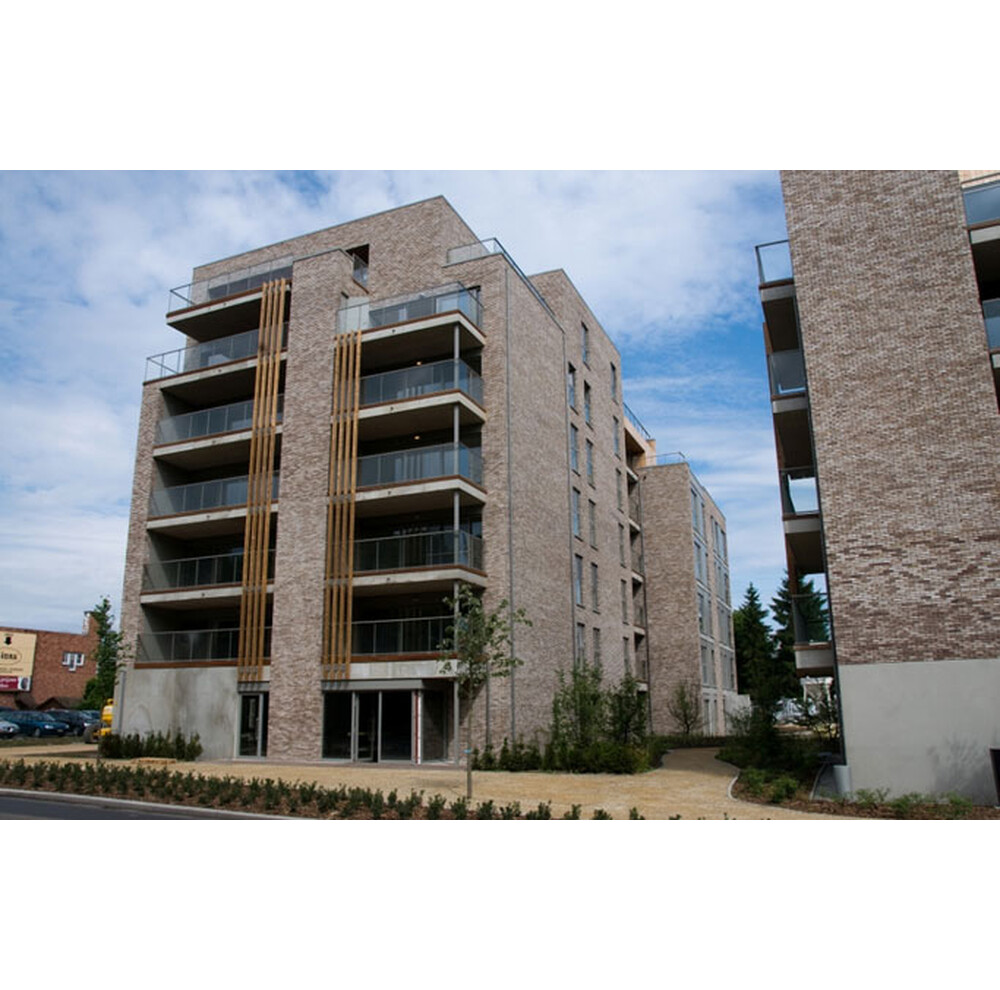 Цегла ручного формування 79 Anicius, фото 9