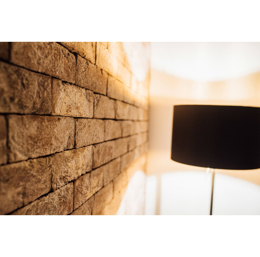 Цегла ручного формування 79 Anicius, фото 5