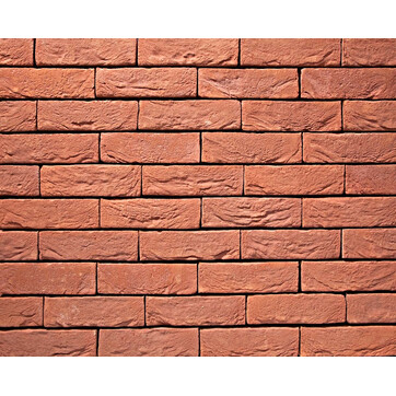 Цегла ручного формування 2 Heidebloem, фото 1