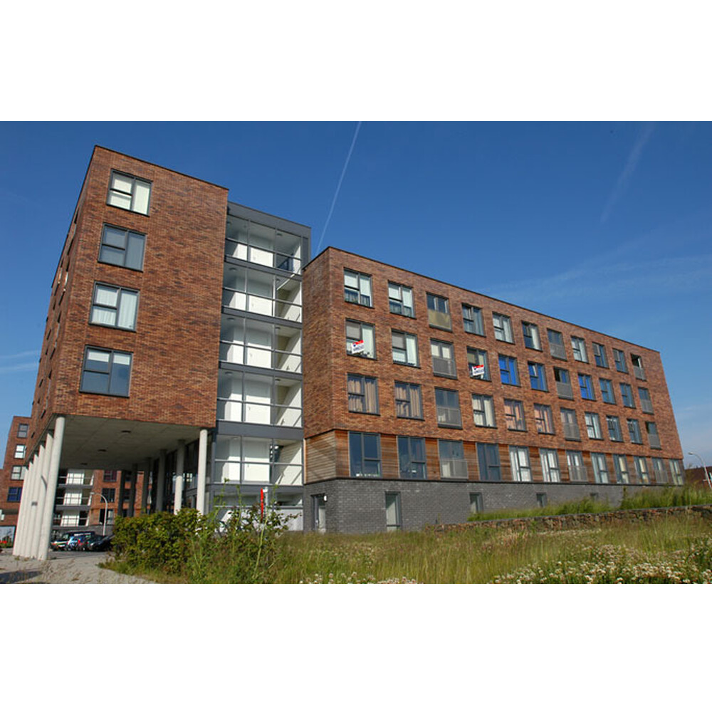 Цегла ручного формування 29 Primula, фото 11