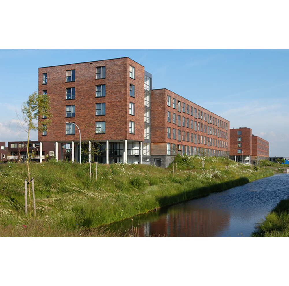 Цегла ручного формування 29 Primula, фото 9