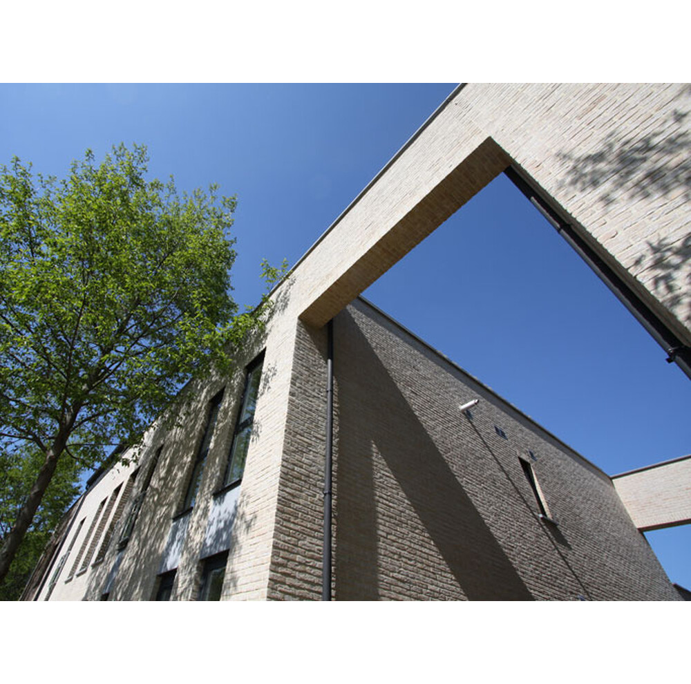 Цегла ручного формування 8 Lindebloem, фото 2