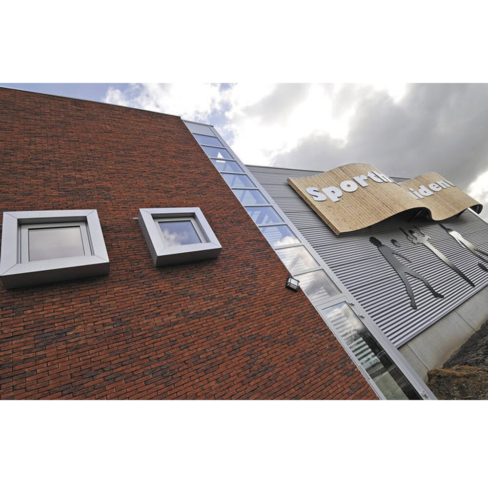 Цегла ручного формування 68 Safora, фото 8