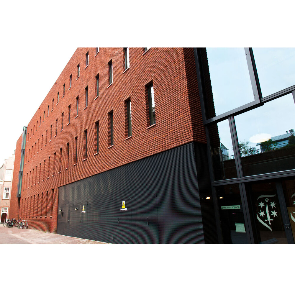 Цегла ручного формування MUHR Nr. 02 Rotbraun-bunt, фото 8