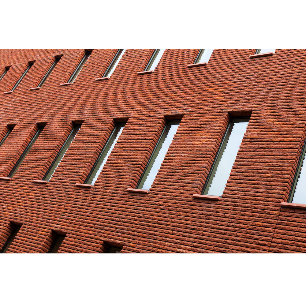 Цегла ручного формування MUHR Nr. 02 Rotbraun-bunt, фото 10