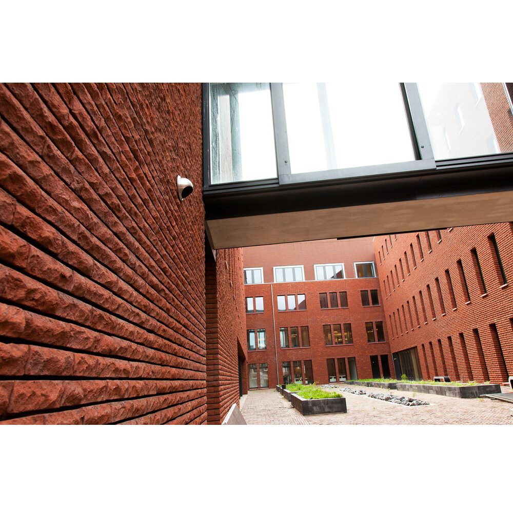 Цегла ручного формування MUHR Nr. 02 Rotbraun-bunt, фото 3