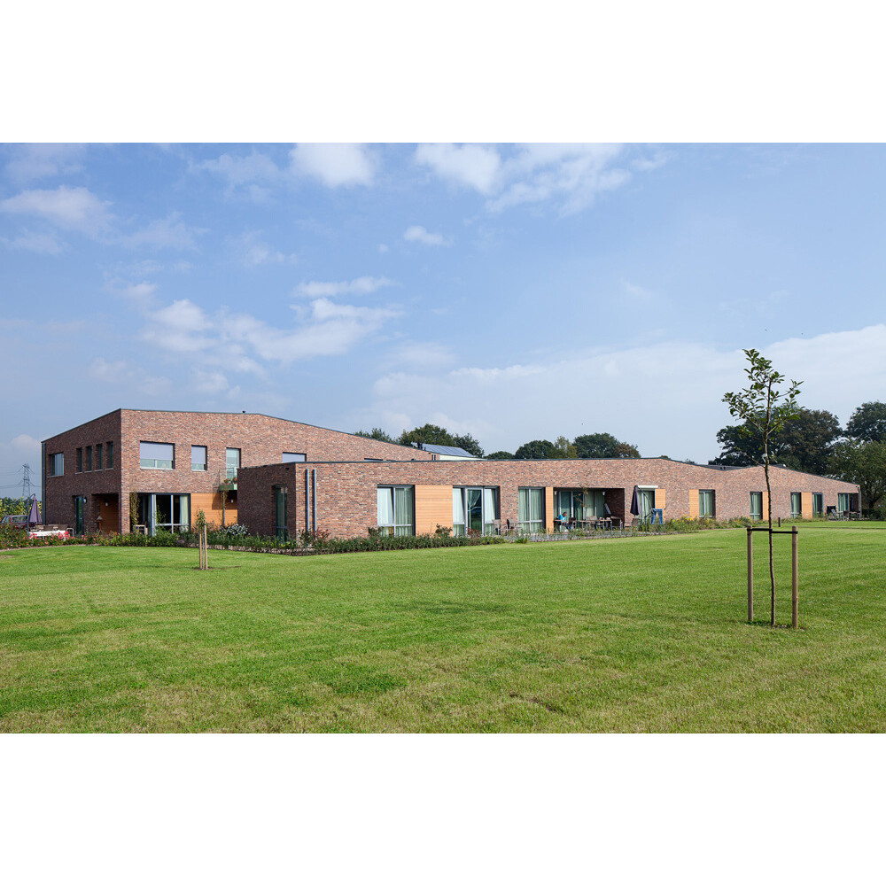 Цегла ручного формування 312 Castello Rood, фото 3