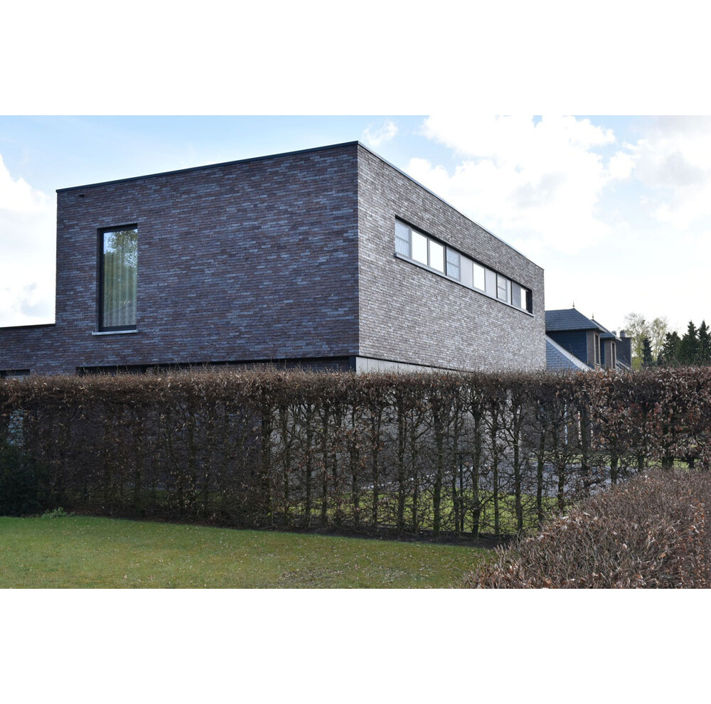 Клінкерна цегла Amsterdam Impression, фото 3