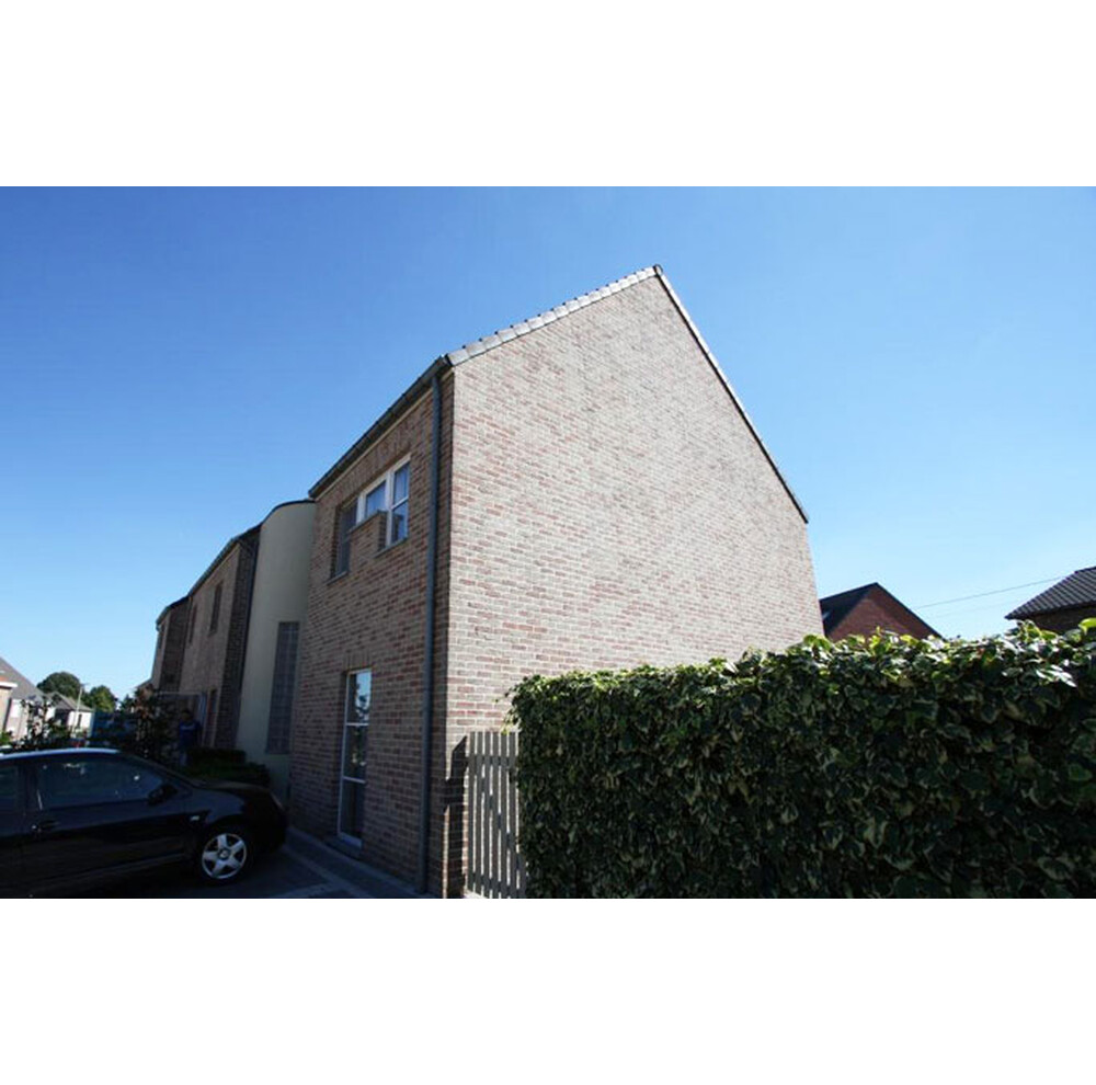 Цегла ручного формування 3 Neo Magnolia, фото 5