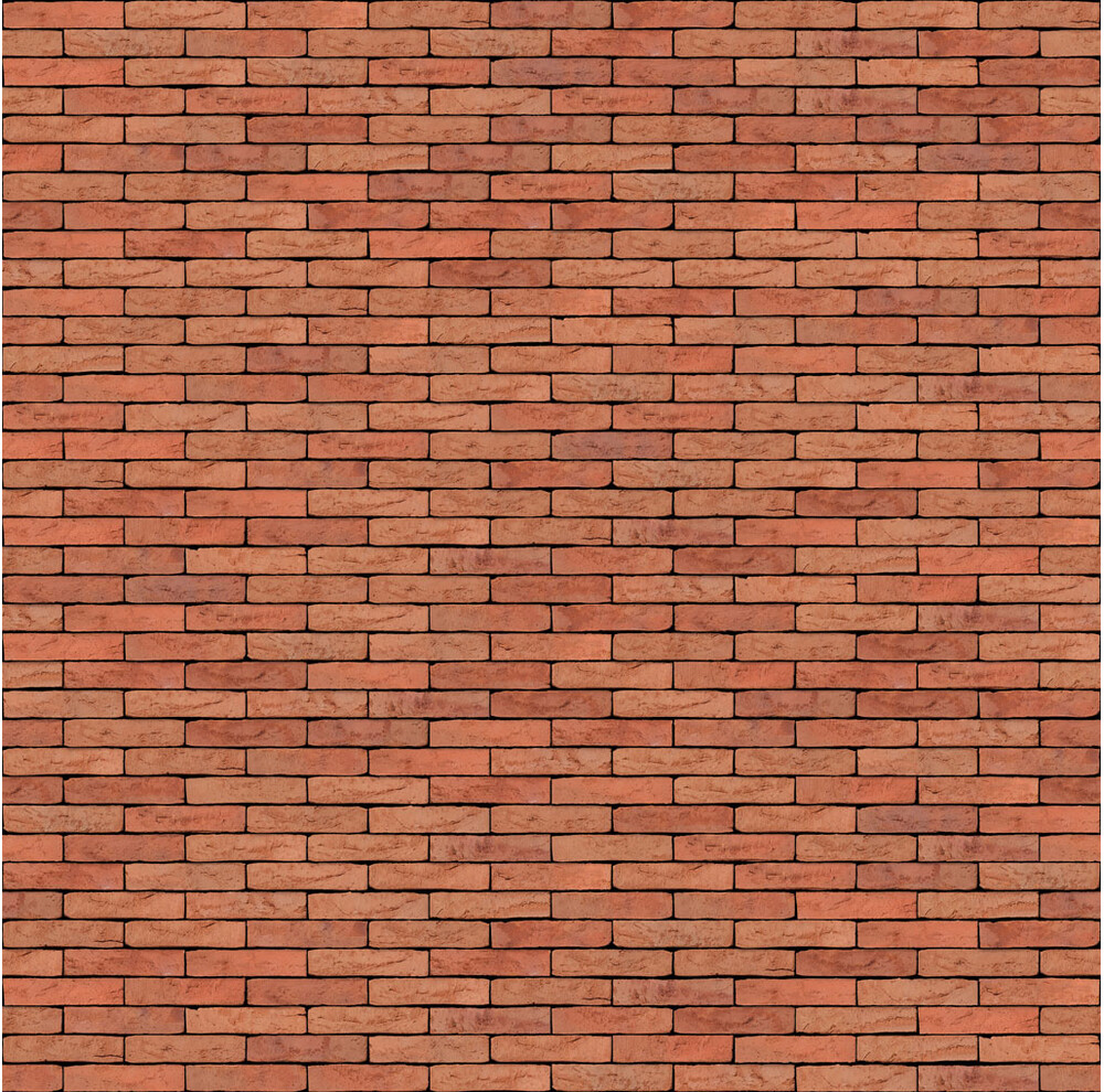 Цегла ручного формування 511 Aalborg WS, фото 3