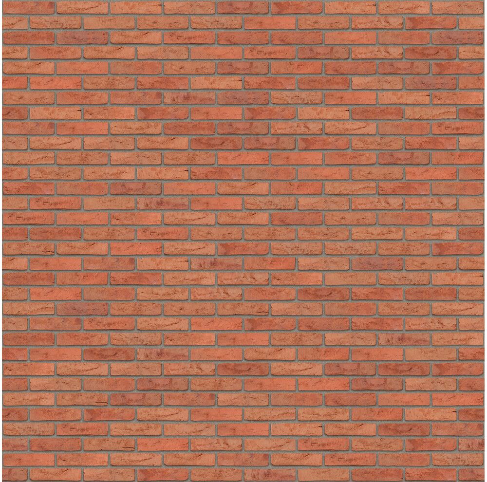 Цегла ручного формування 511 Aalborg WS, фото 5