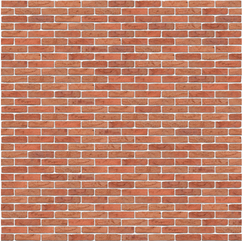 Цегла ручного формування 511 Aalborg WS, фото 7