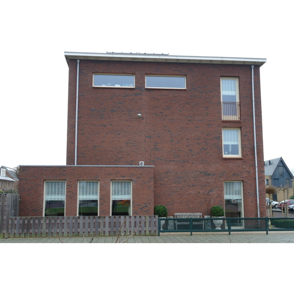 Цегла ручного формування 315 A 1 Purple GS, фото 2