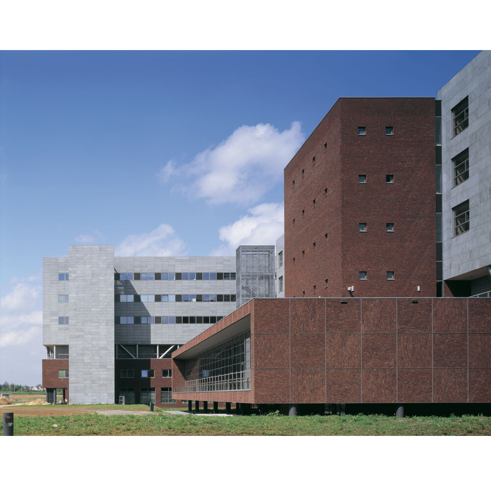 Цегла ручного формування 315 A 1 Purple GS, фото 6