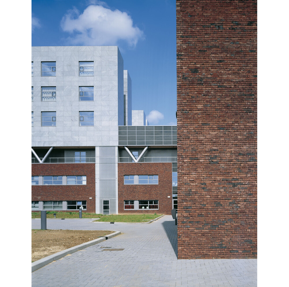 Цегла ручного формування 315 A 1 Purple GS, фото 7