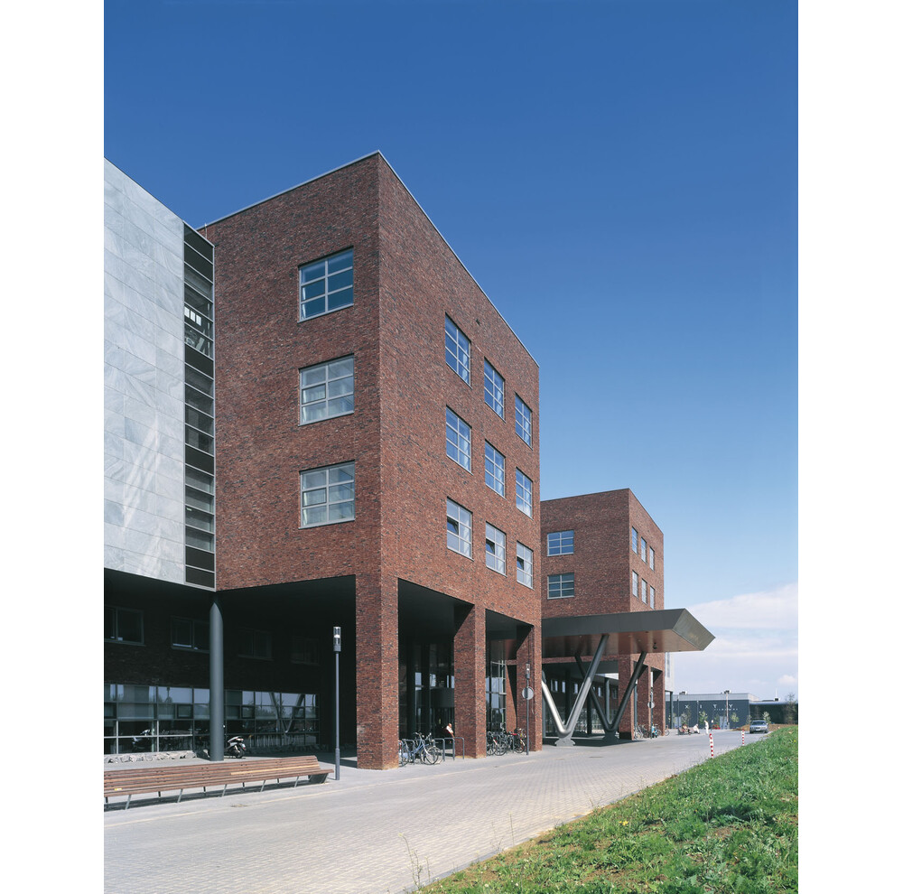 Цегла ручного формування 315 A 1 Purple GS, фото 8