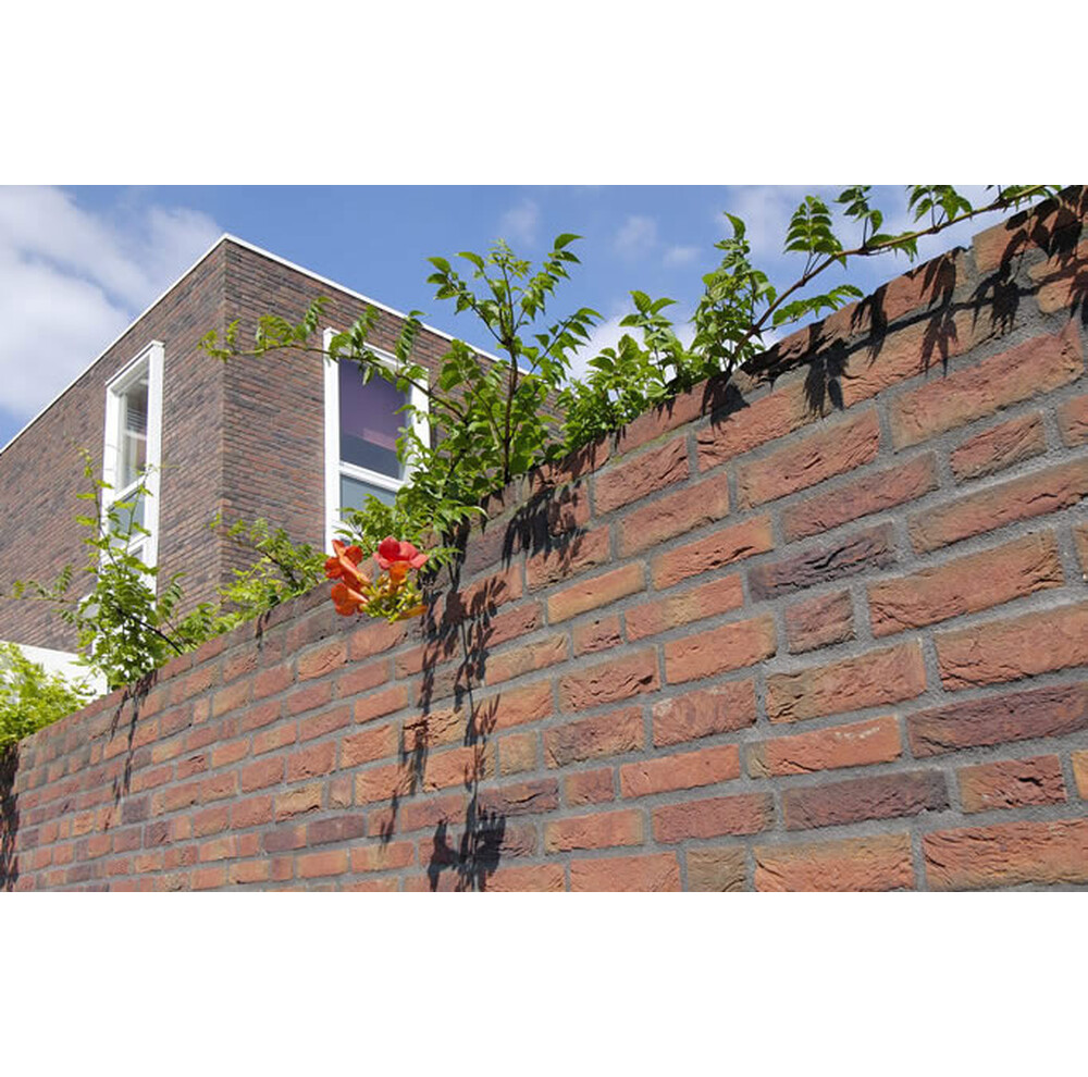 Цегла ручного формування 13 Viola, фото 11