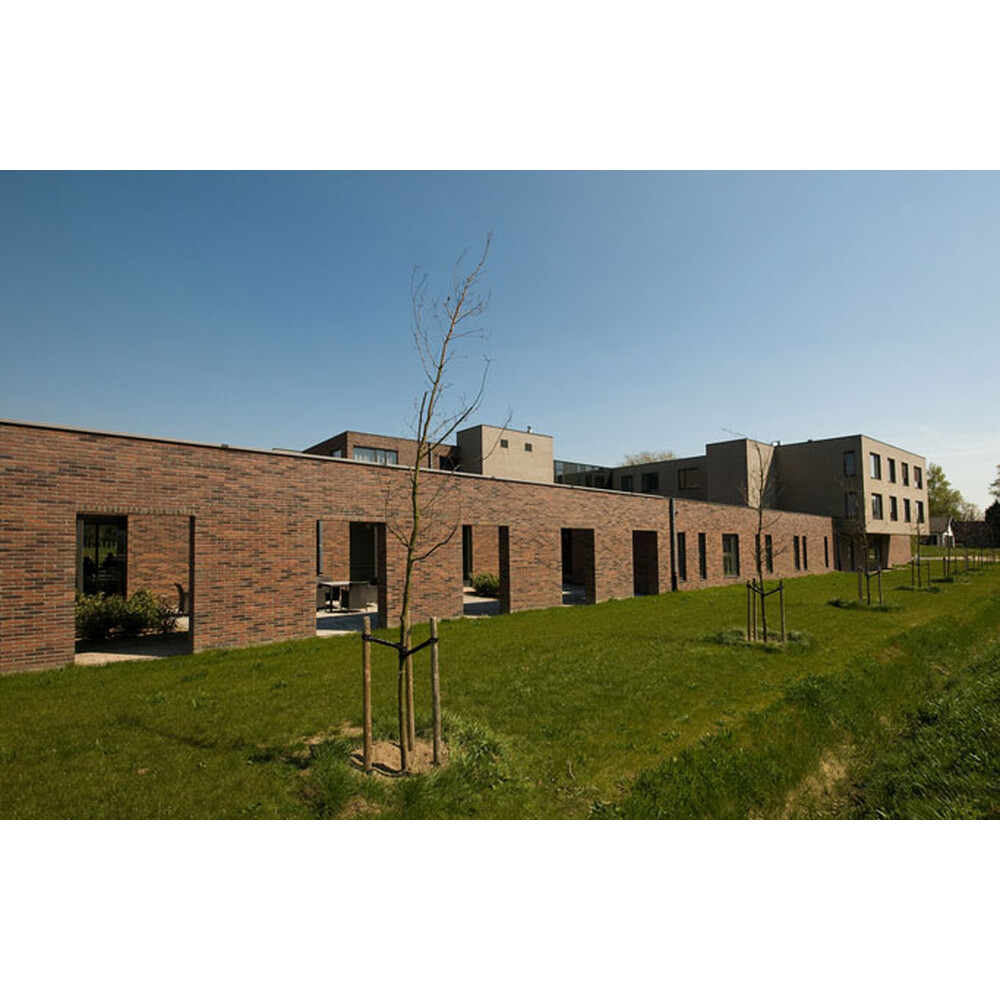 Цегла ручного формування 13 Viola, фото 7