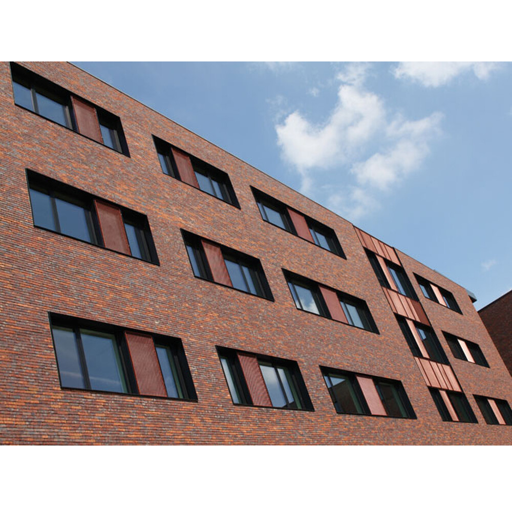 Цегла ручного формування 513 Billund WS, фото 7