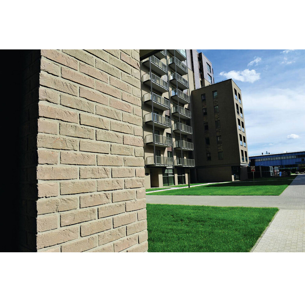 Цегла ручного формування 58 Mistral, фото 4