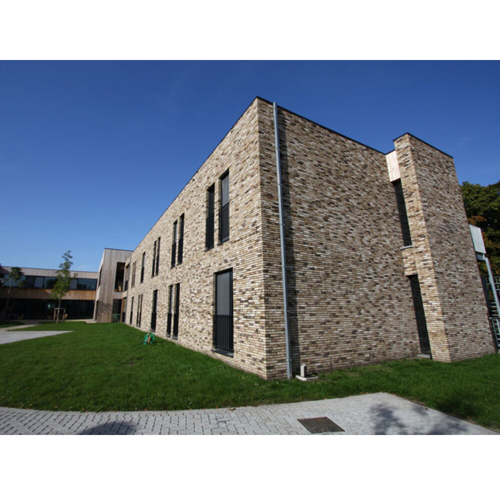 Цегла ручного формування 81 Ligure, фото 9