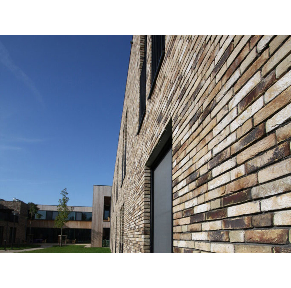 Цегла ручного формування 81 Ligure, фото 4