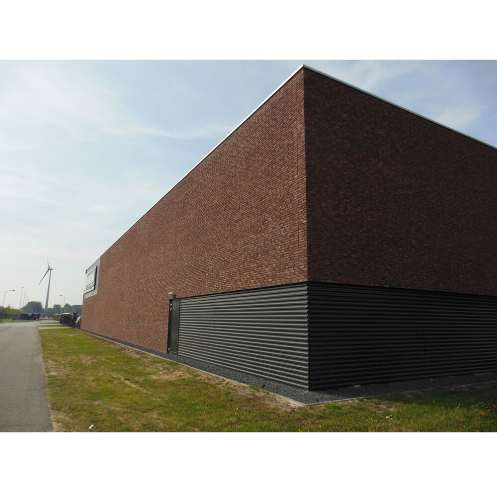 Цегла ручного формування 316 Autumn, фото 7