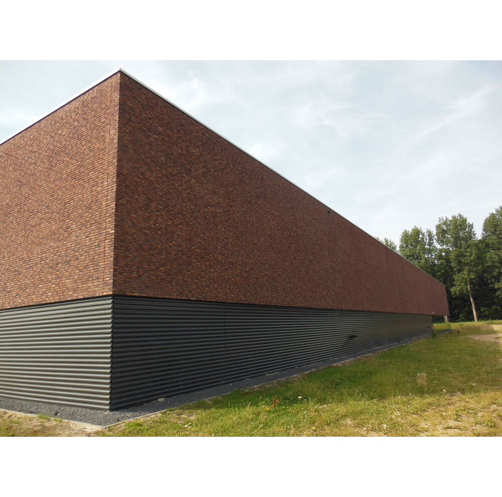 Цегла ручного формування 316 Autumn, фото 8