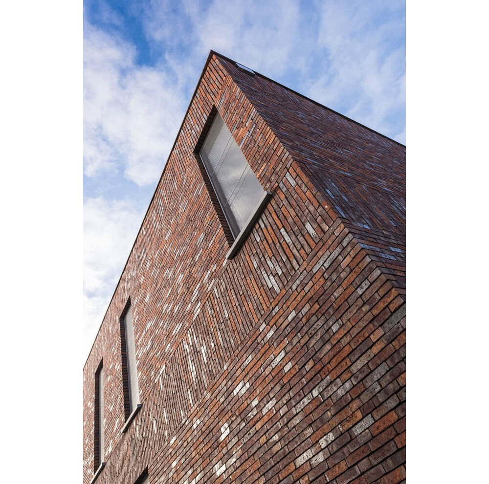 Цегла ручного формування 513 Billund WS, фото 4