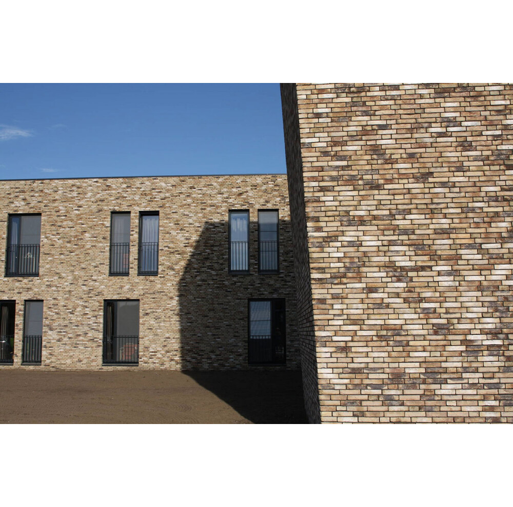 Цегла ручного формування 81 Ligure, фото 6