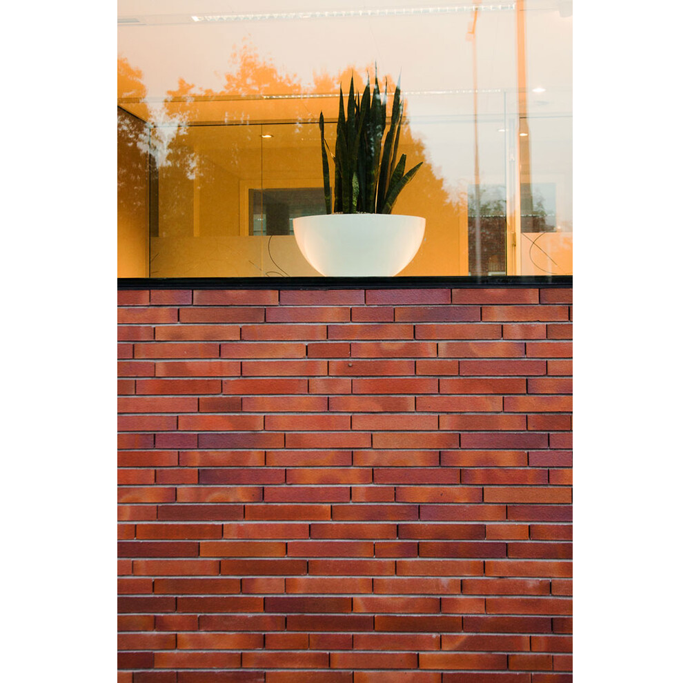 Клінкерна цегла Muhr Nr. 04 Rotbraun-bunt glatt, фото 3