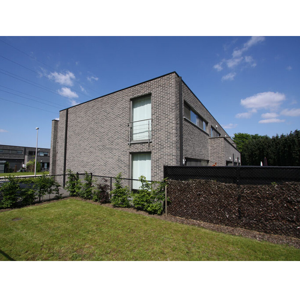 Цегла ручного формування 71 Cortona, фото 9