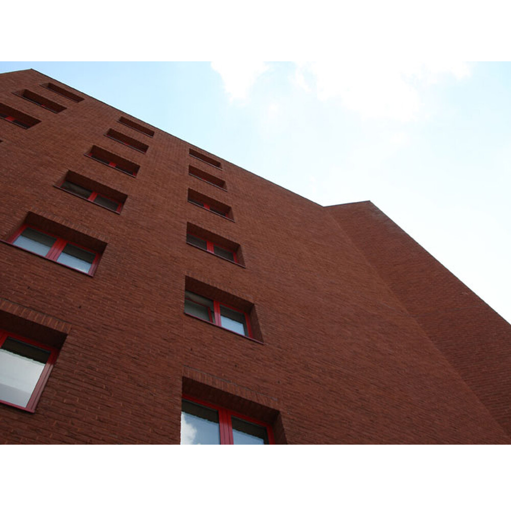 Цегла ручного формування 86 Boston, фото 11