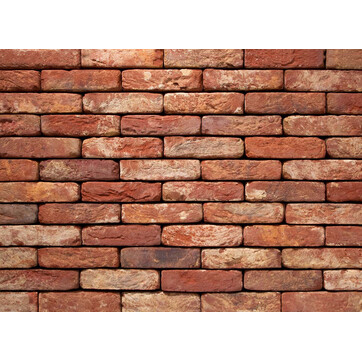 Цегла ручного формування 60 Oud Brabant, фото 1