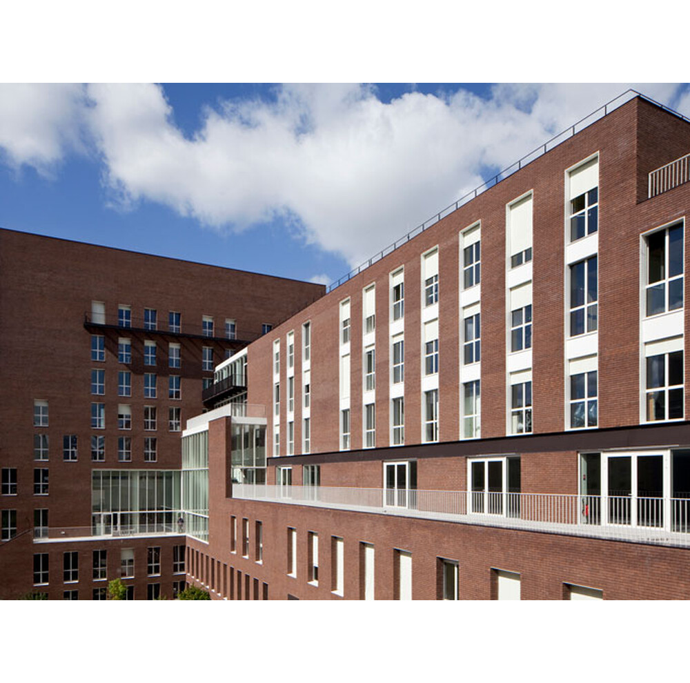 Цегла ручного формування 9 Java, фото 10