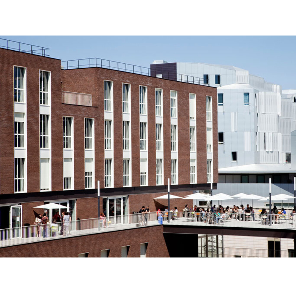 Цегла ручного формування 9 Java, фото 9