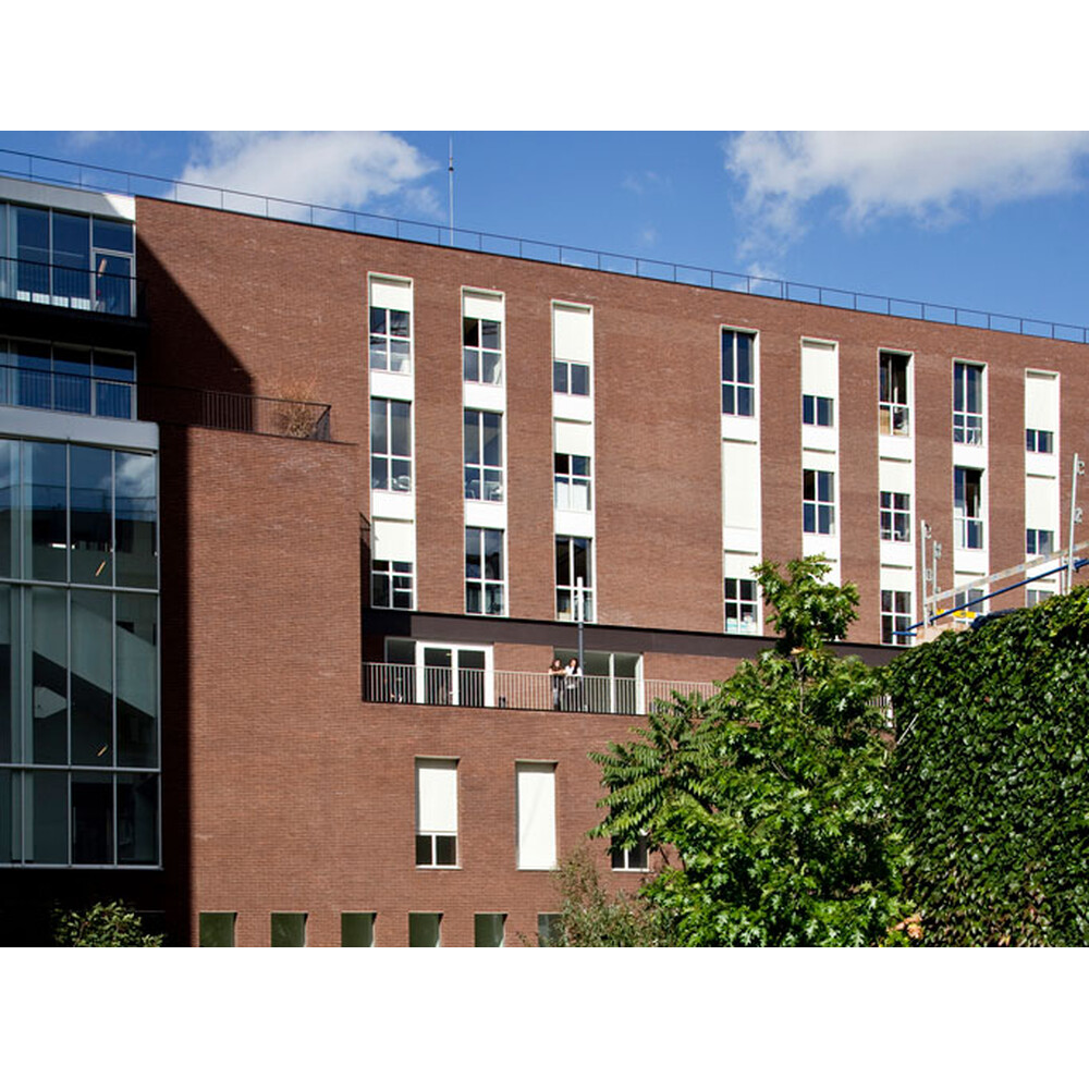 Цегла ручного формування 9 Java, фото 7